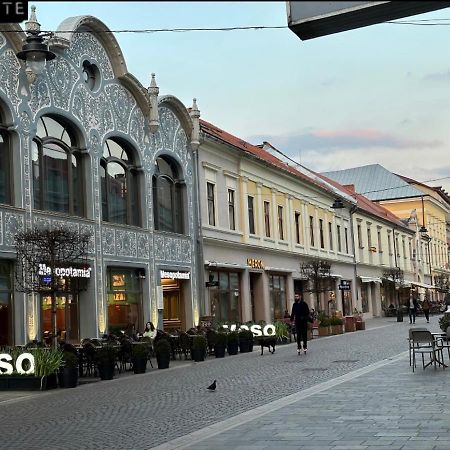 Aparte, Ultracentral Apartament In Moskovits Palace Oradea Extérieur photo